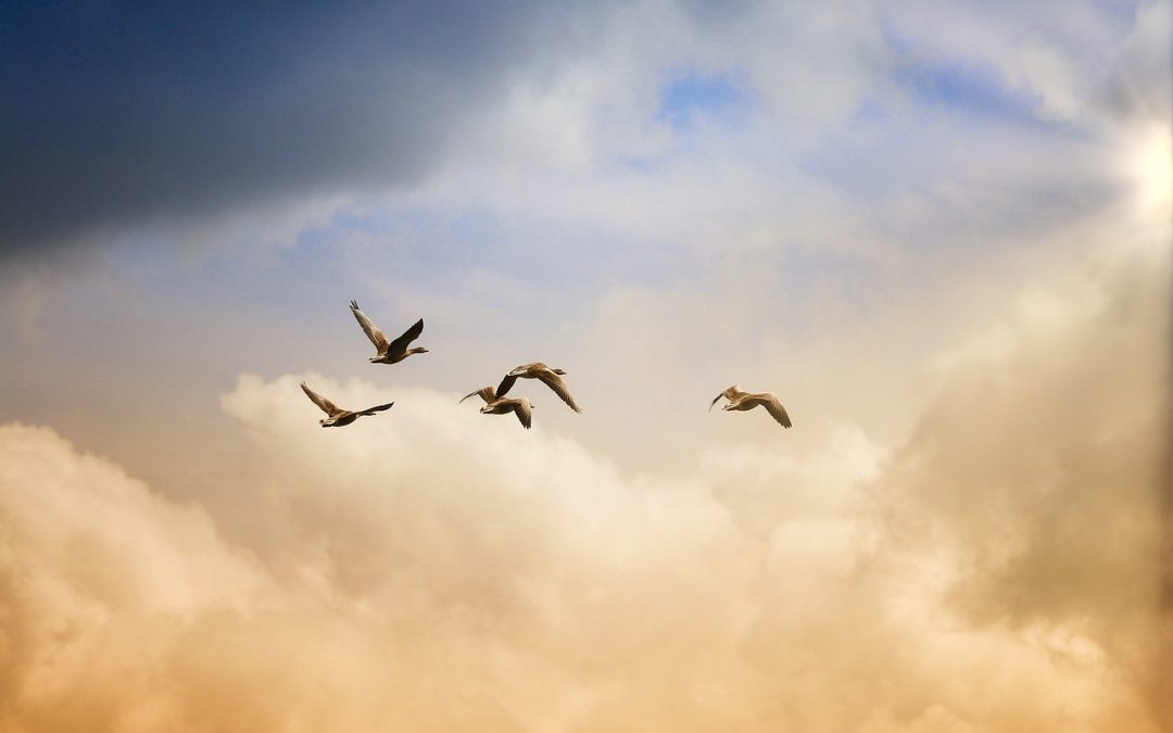 Dokumentasi yang Dibutuhkan untuk Visa Kunjungan di Lampung Timur